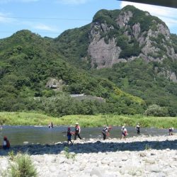 狩野川（狩野川漁業協同組合） 釣果