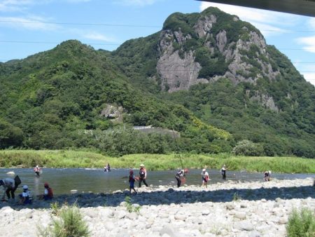狩野川（狩野川漁業協同組合） 釣果