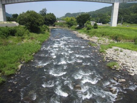 狩野川(狩野川漁業協同組合) 釣果