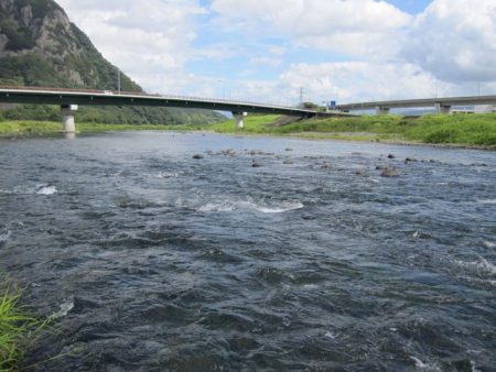 狩野川(狩野川漁業協同組合) 釣果