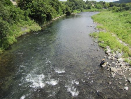 狩野川(狩野川漁業協同組合) 釣果
