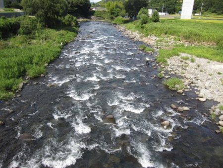 狩野川（狩野川漁業協同組合） 釣果