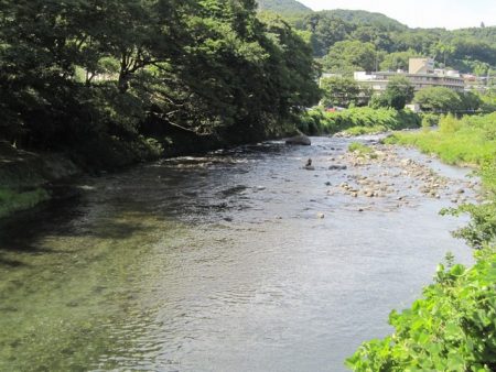 狩野川（狩野川漁業協同組合） 釣果