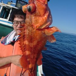 シードリーム 釣果