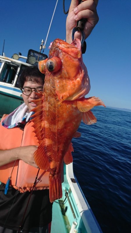 シードリーム 釣果