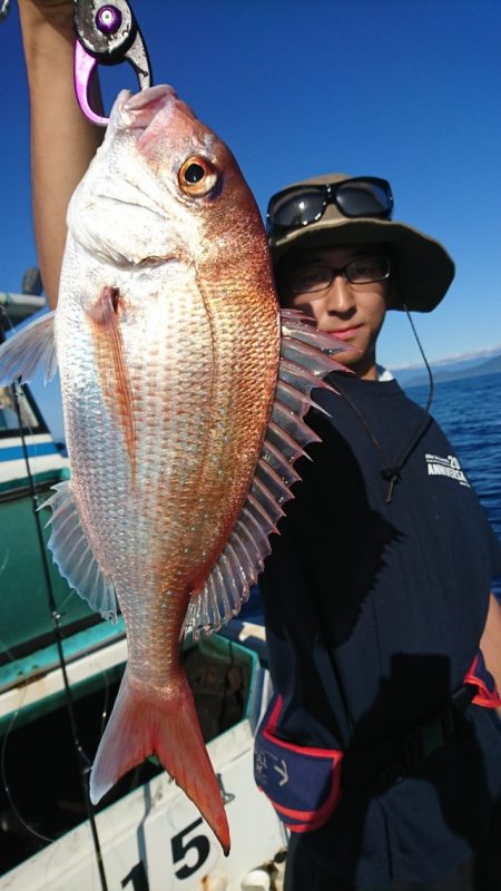 シードリーム 釣果