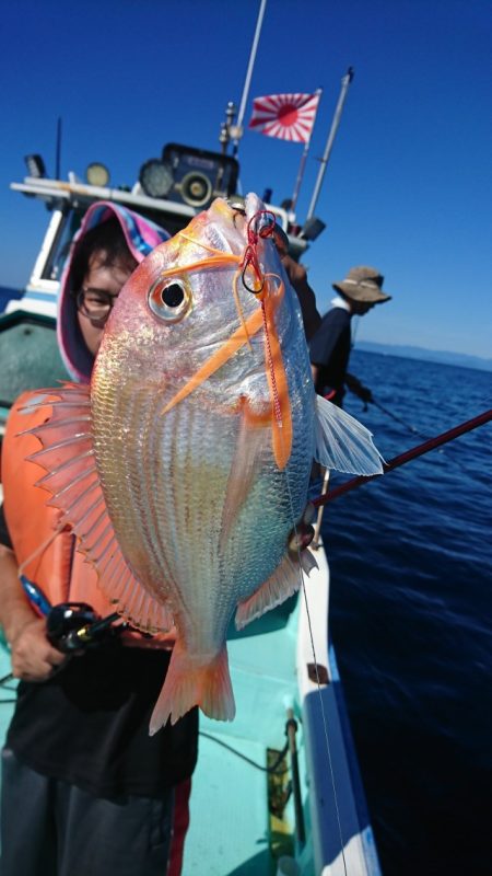 シードリーム 釣果