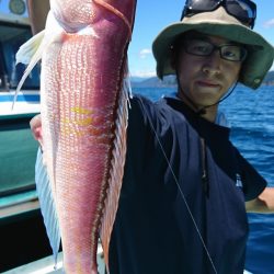 シードリーム 釣果