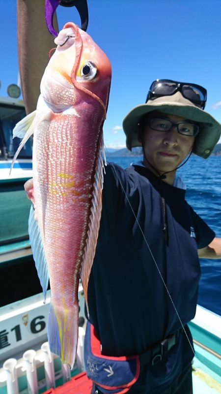 シードリーム 釣果