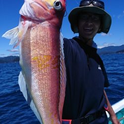 シードリーム 釣果