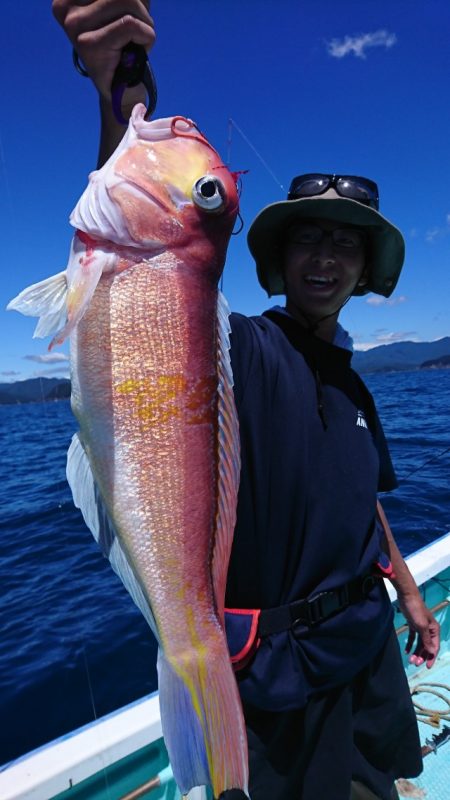 シードリーム 釣果