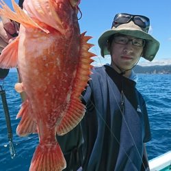 シードリーム 釣果