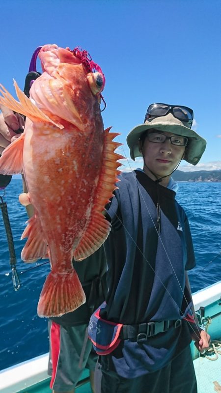 シードリーム 釣果