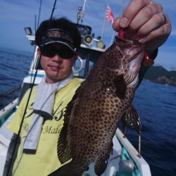 シードリーム 釣果