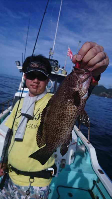 シードリーム 釣果