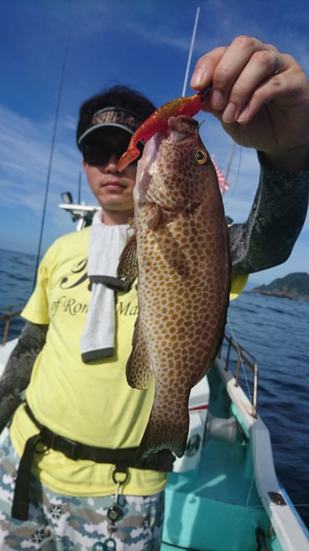 シードリーム 釣果