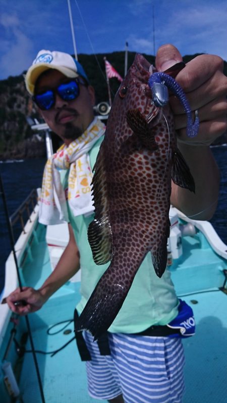 シードリーム 釣果