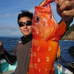 シードリーム 釣果