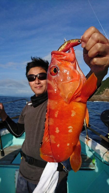 シードリーム 釣果