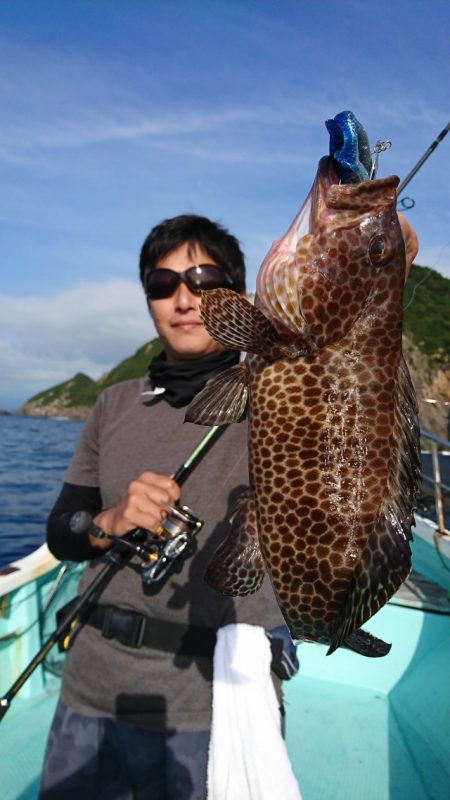 シードリーム 釣果