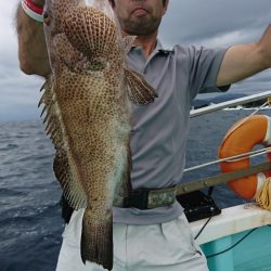 シードリーム 釣果