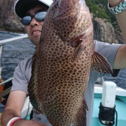 シードリーム 釣果