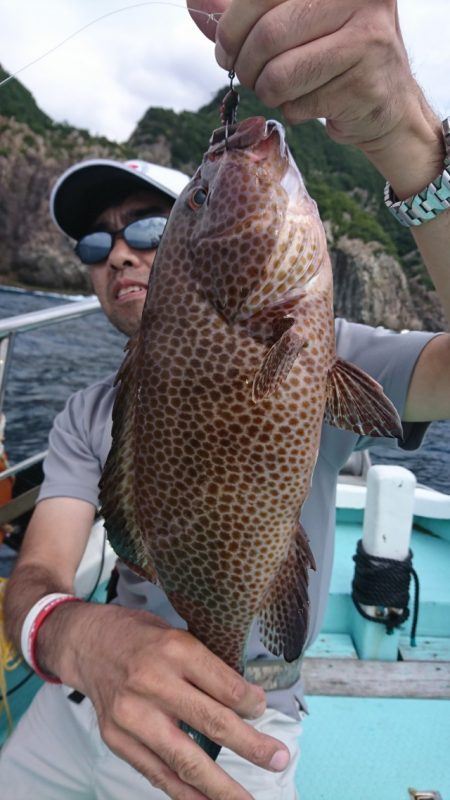 シードリーム 釣果