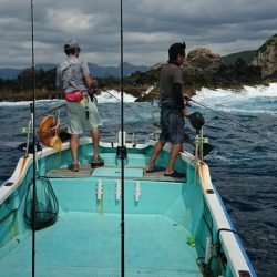 シードリーム 釣果