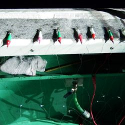 第三むつりょう丸 釣果