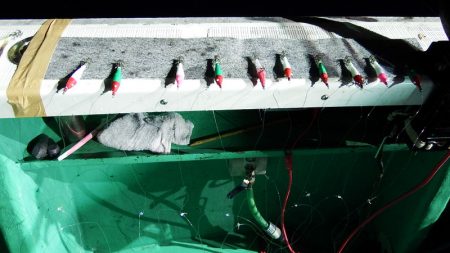 第三むつりょう丸 釣果