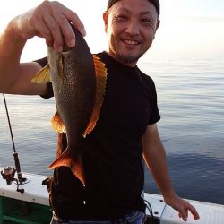第三むつりょう丸 釣果