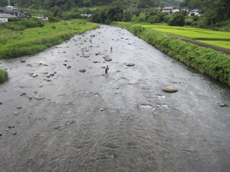 狩野川(狩野川漁業協同組合) 釣果