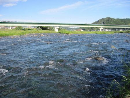 狩野川（狩野川漁業協同組合） 釣果
