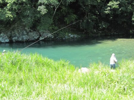 狩野川(狩野川漁業協同組合) 釣果