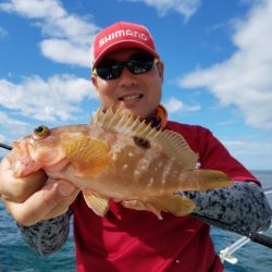 遊漁船 ニライカナイ 釣果