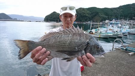 筏マルキ 釣果