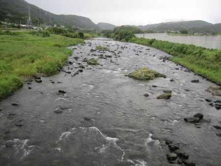 狩野川(狩野川漁業協同組合) 釣果