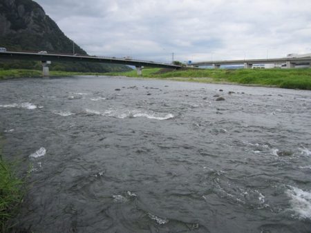 狩野川(狩野川漁業協同組合) 釣果