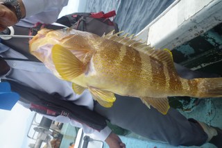 松福丸 釣果