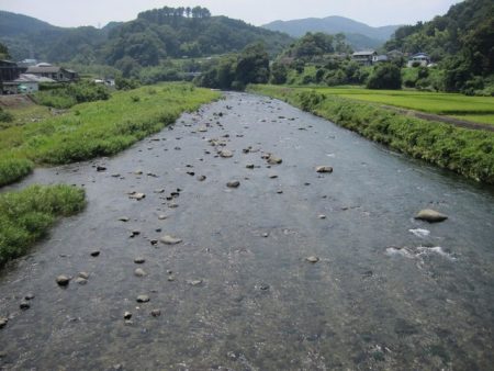 狩野川(狩野川漁業協同組合) 釣果