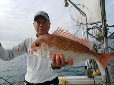 遊漁船 ニライカナイ 釣果