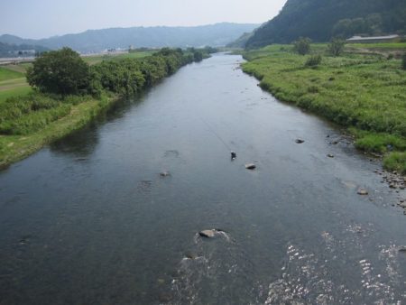 狩野川（狩野川漁業協同組合） 釣果
