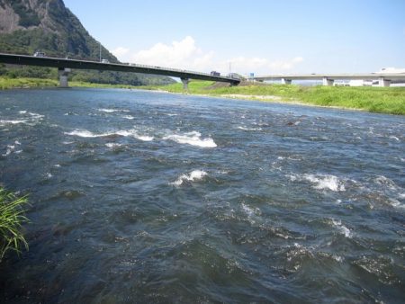 狩野川(狩野川漁業協同組合) 釣果