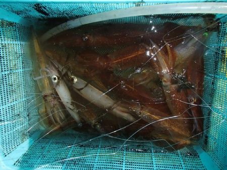 第二むつ漁丸 釣果