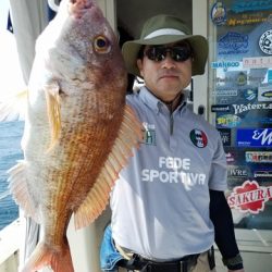 遊漁船 ニライカナイ 釣果