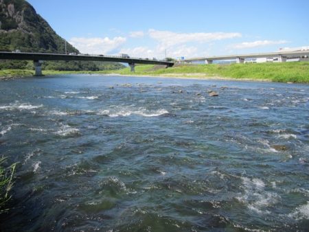 狩野川(狩野川漁業協同組合) 釣果
