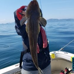 遊漁船 ニライカナイ 釣果