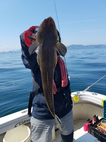 遊漁船 ニライカナイ 釣果