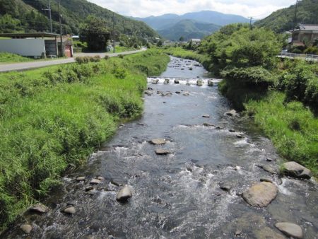 狩野川(狩野川漁業協同組合) 釣果
