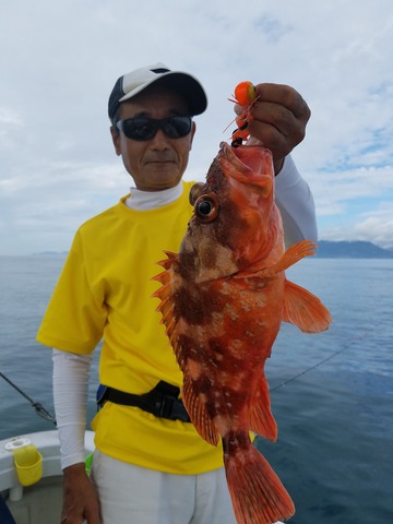 遊漁船　ニライカナイ 釣果